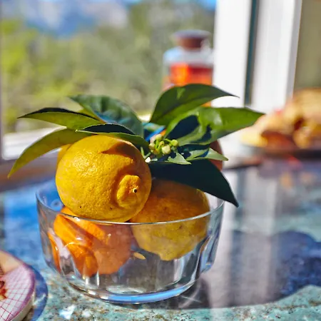 Anemelia' Villa Agios Dimitrios (Zakynthos)